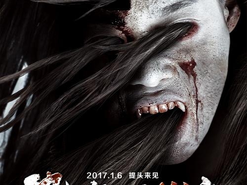 卡尔斯鲁厄工程与市场开发文凭证书院市场开发文凭证书